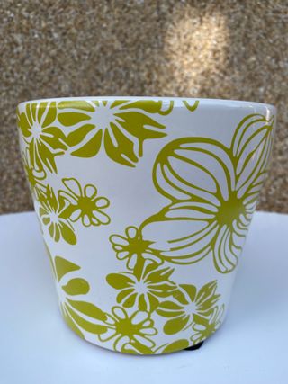 Maceta con motivos florales en kiwi