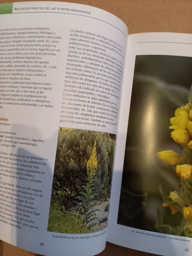 LIBRO-PLANTAS MEDICINALES