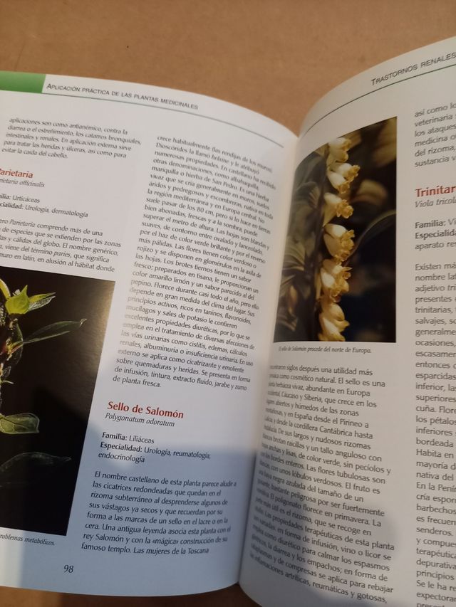 LIBRO-PLANTAS MEDICINALES