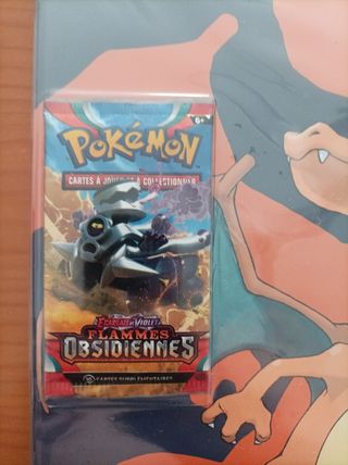 Album Pokémon 9 Bolsillos Charizard+Sobre Sellado