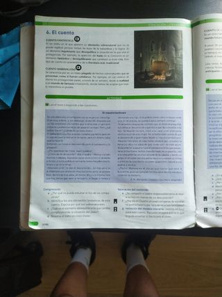 Libro lengua castellana Casals 2ESO