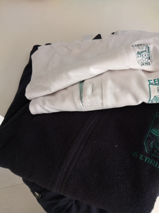 Lote ropa colegio