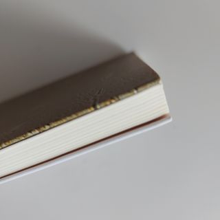 BAJO LA SOMBRA DE LA GRAN PIRAMIDE. Pablo Zapata