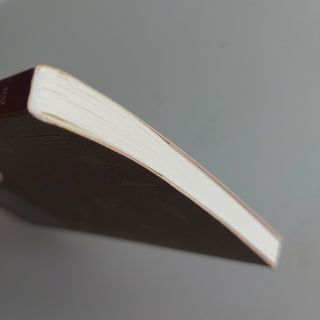 BAJO LA SOMBRA DE LA GRAN PIRAMIDE. Pablo Zapata