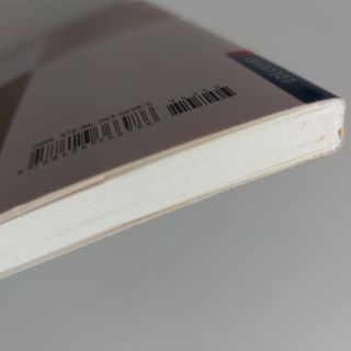 BAJO LA SOMBRA DE LA GRAN PIRAMIDE. Pablo Zapata