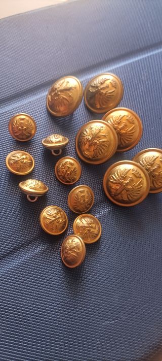Lote de botones militares