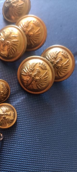 Lote de botones militares