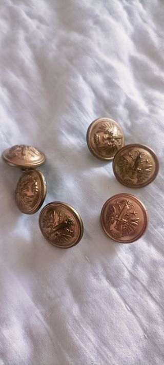 Lote de botones militares