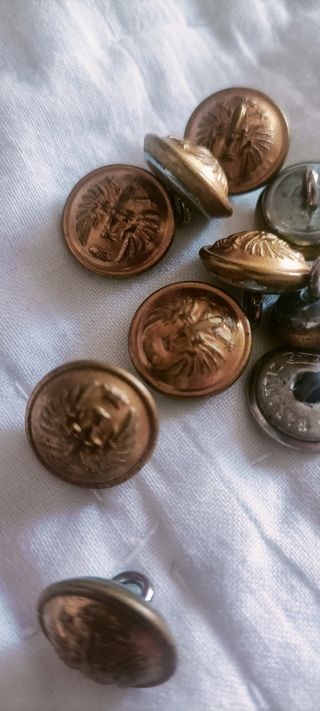 Lote de botones militares