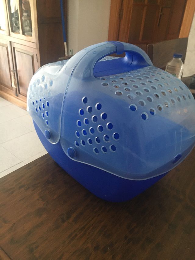 Transportin mascotas