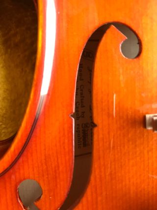Violin