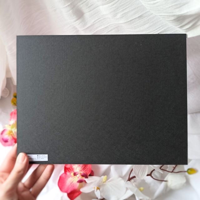 Lote de 2 cuadros japoneses / Prints