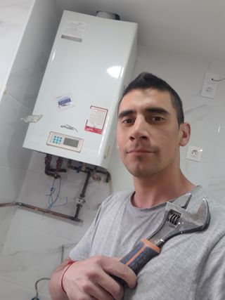 Manitás pamplona