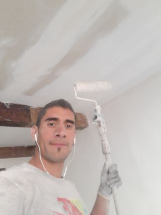 Manitás pamplona
