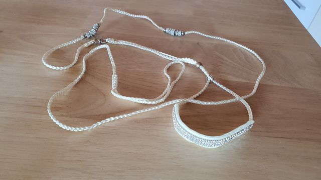 Correa perro pequeño