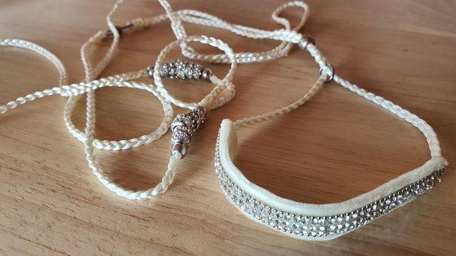 Correa perro pequeño