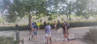 Adiestramiento canino y paseadores caninos.