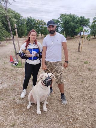 Adiestramiento canino y paseadores caninos.