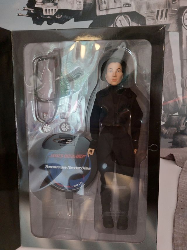 Figura 007 Michelle Yeoh, Wai Lin