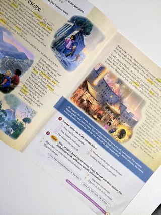 Super Minds - Student's book 5