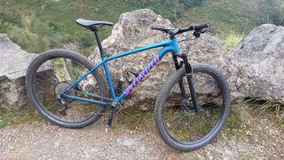 Specialized Chisel 