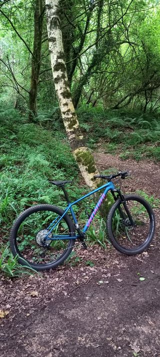 Specialized Chisel 