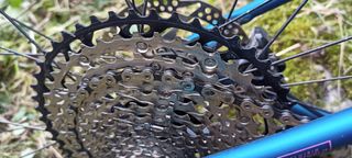 Specialized Chisel 