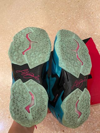 Nike Lebron X|