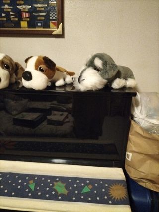 Bonitos peluches de perros de razas