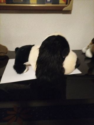 Bonitos peluches de perros de razas