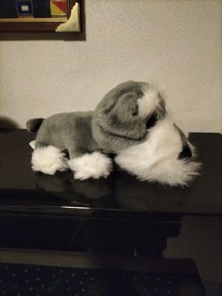 Bonitos peluches de perros de razas