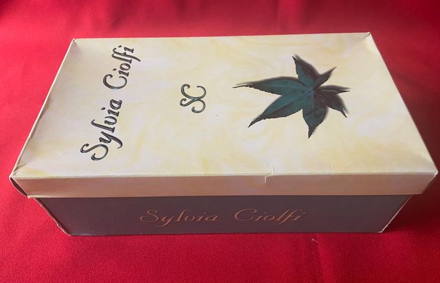 Zapatos de tacón Sylvia Giolfi