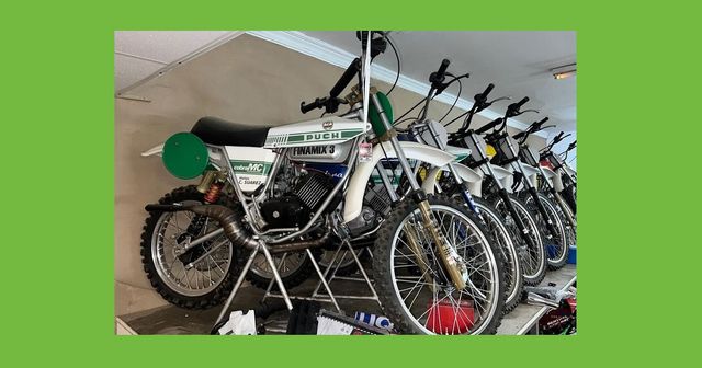 PUCH Cobra Profesional Corona