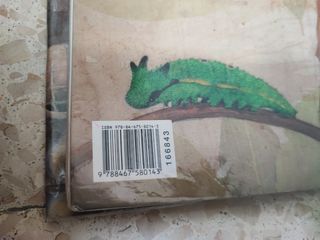 LIBRO 6° PRIMARIA NATURALES