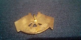 Pin único hermanamiento Alfas del Pi