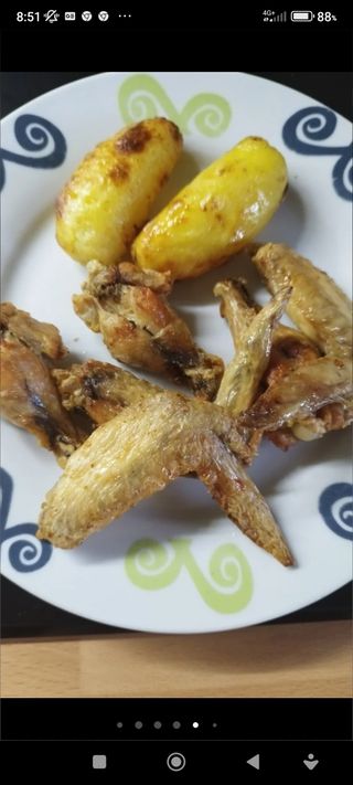 Freidora sin aceite Princess + regaló