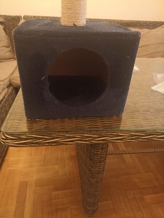 Casa de gato y rascador