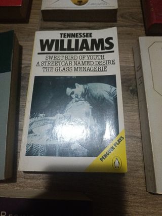 Libros de literatura inglesa IV