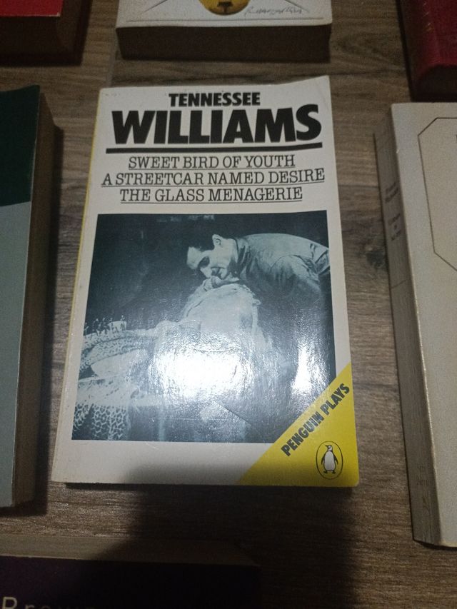 Libri di letteratura inglese IV