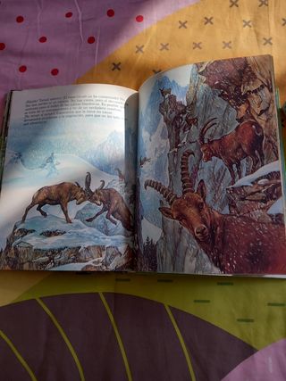 2 libros infantiles sobre animales