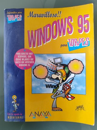 Lote 9 libros y manuales informática