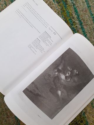 Los caprichos de Goya