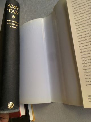 UN LUGAR LLAMADO NADA de Amy Tan