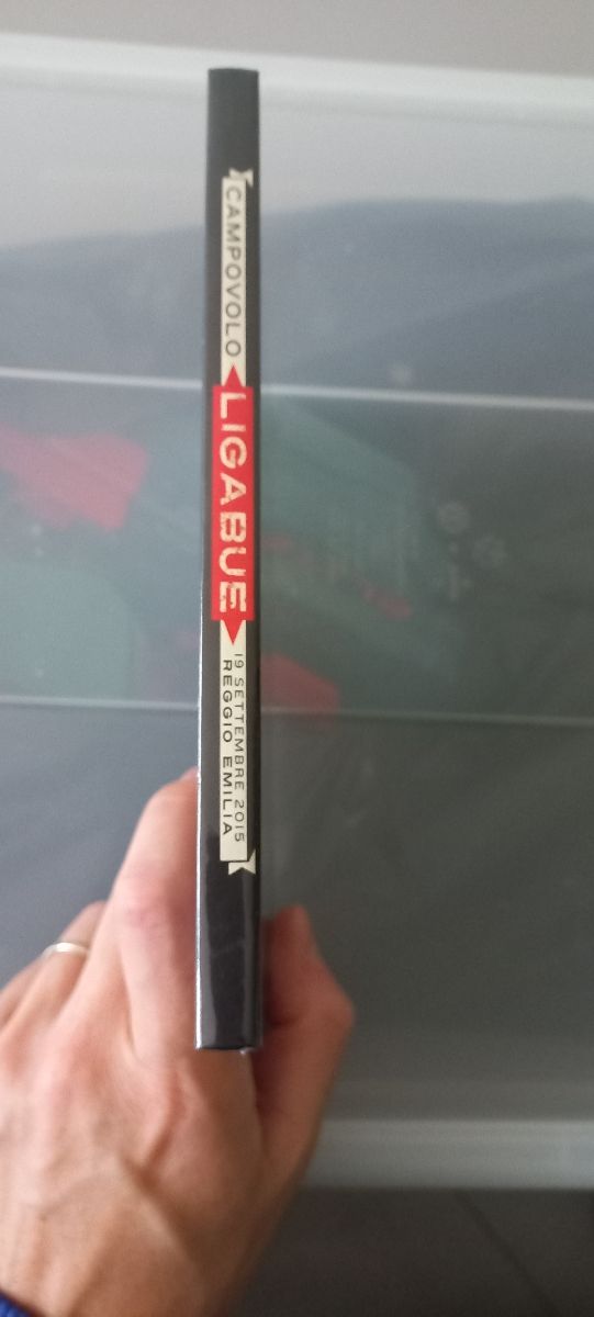 Ligabue, 25 años - 19 de septiembre de 2015 dvd