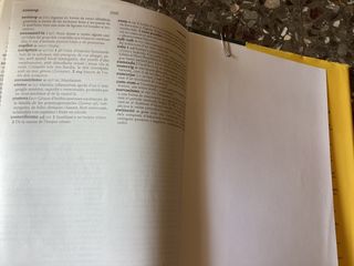 Diccionario. català