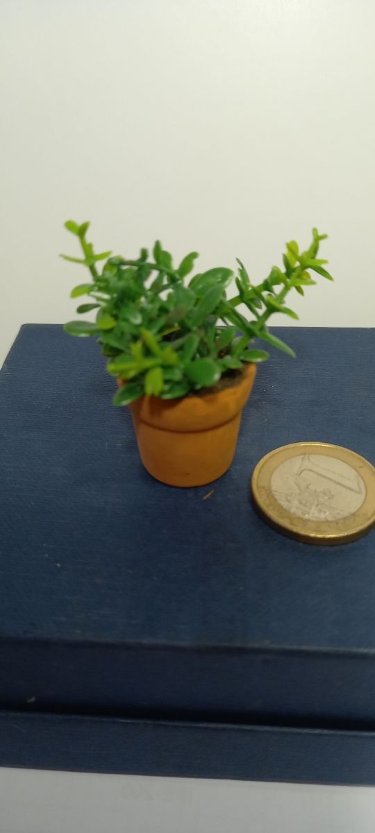 Planta grande en miniatura