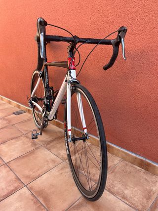 Fuji carbono