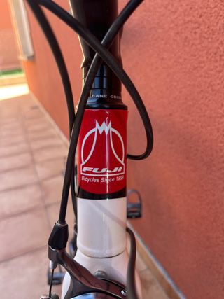 Fuji carbono