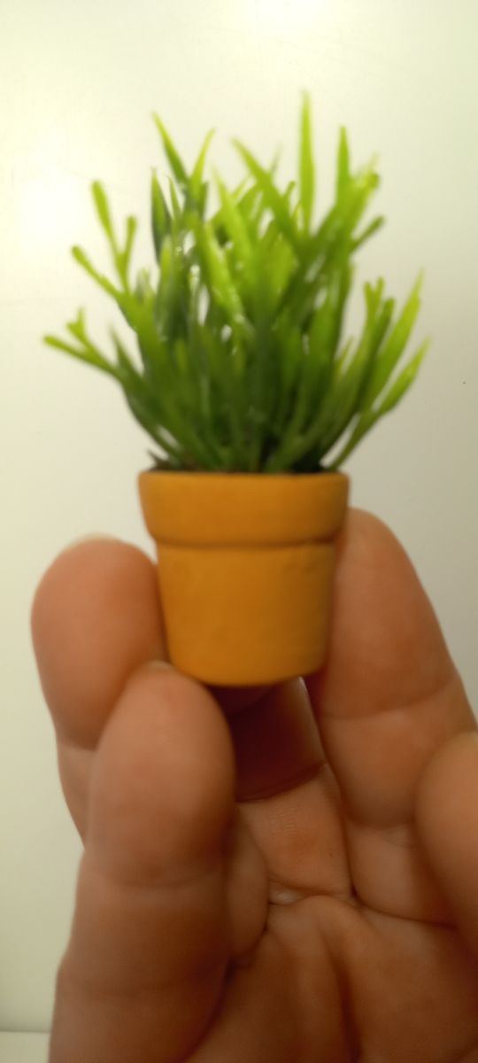 Planta grande en miniatura