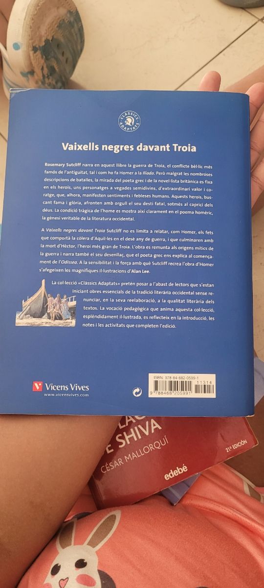 Vaixells negres davant troia 